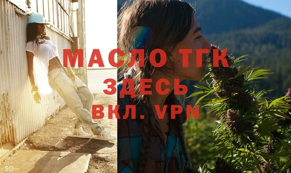 СК Алексин