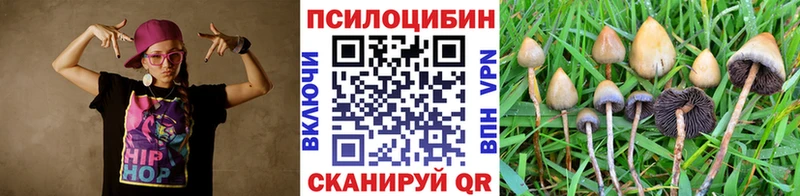 Купить где  Комсомольск-на-Амуре  Галлюциногенные грибы мицелий 